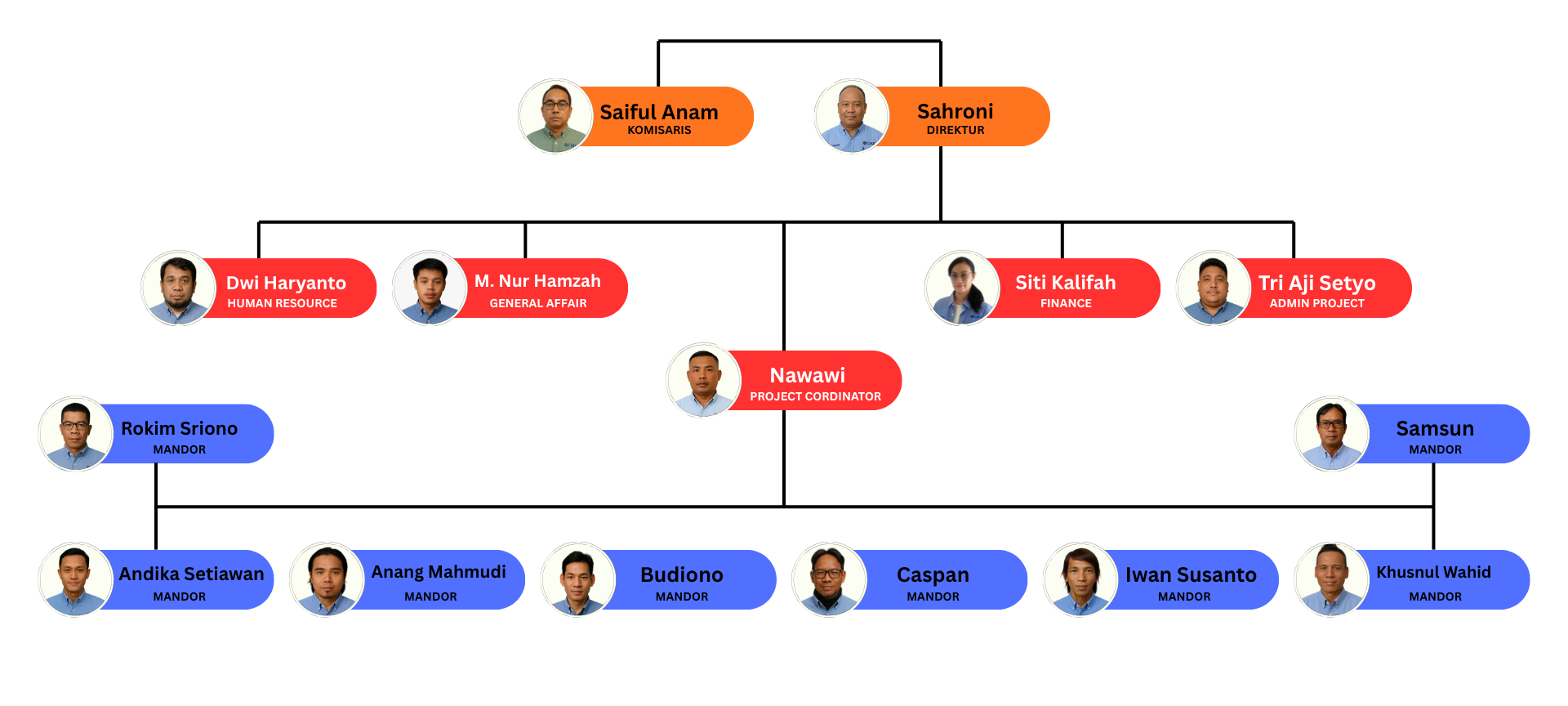 Struktur Organisasi