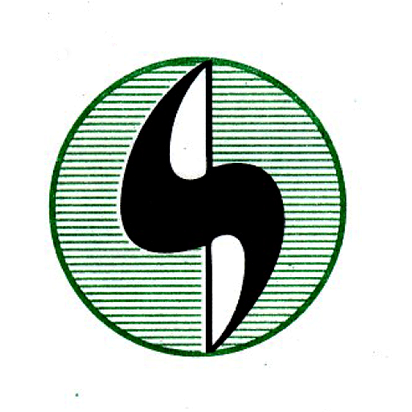 Saranacita